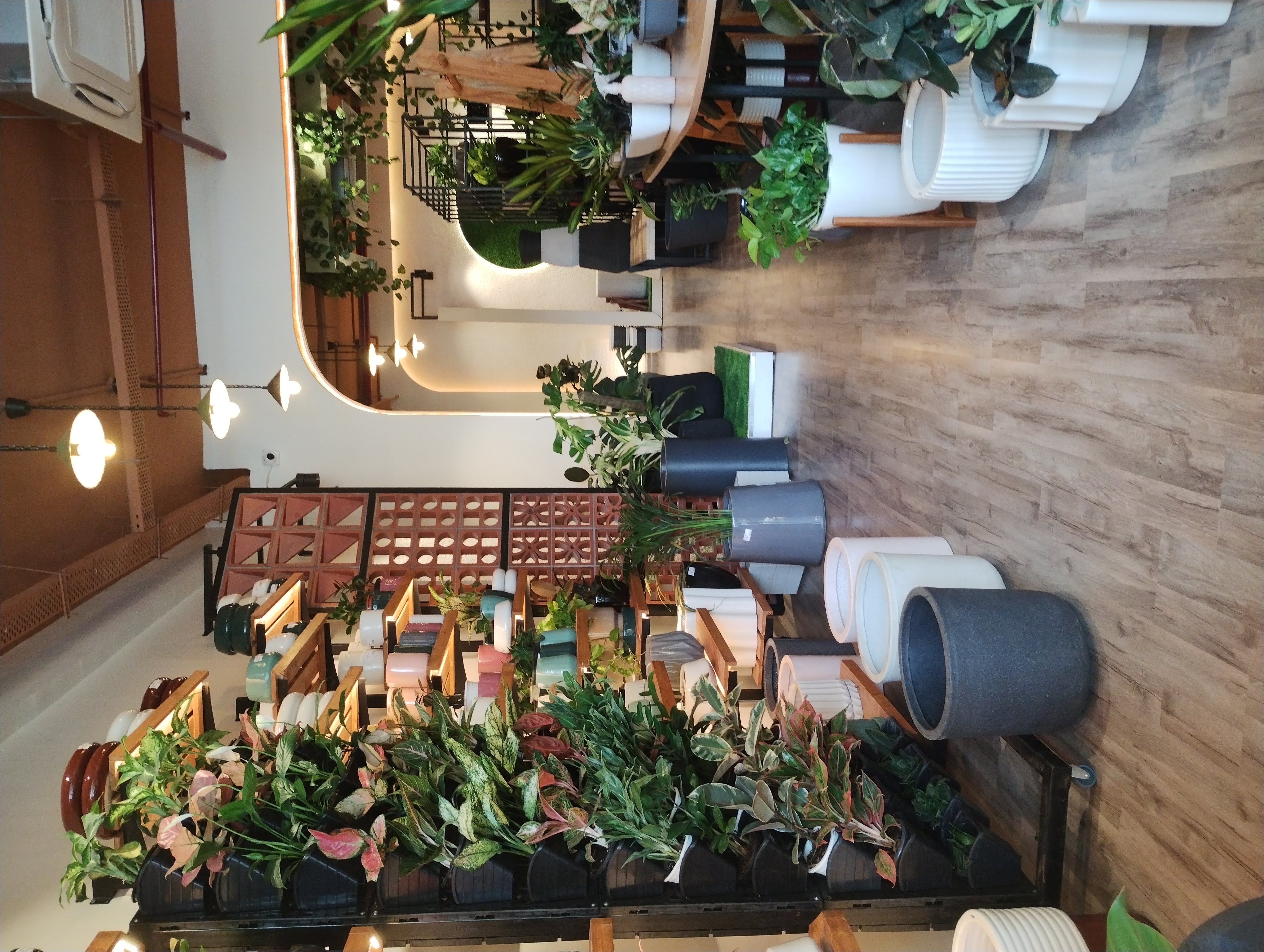 A showroom view bustling with plants.